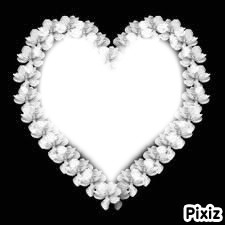 Coeur de fleurs <3 Photo frame effect