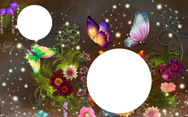 Kreis mit Schmetterlinge Fotomontage