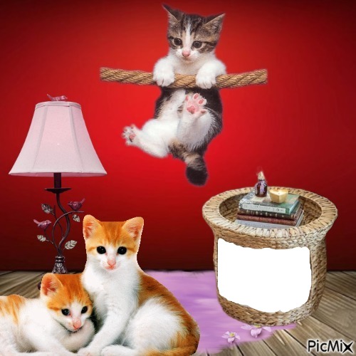 cat Photomontage