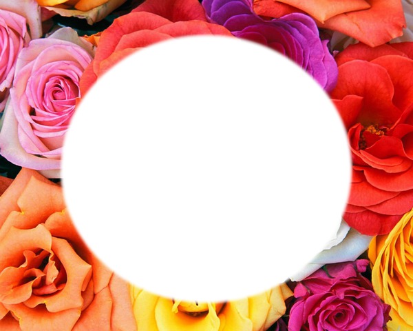 cadre fleur rose Φωτομοντάζ