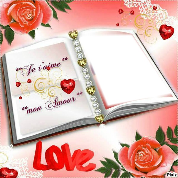 Livre love Fotomontage