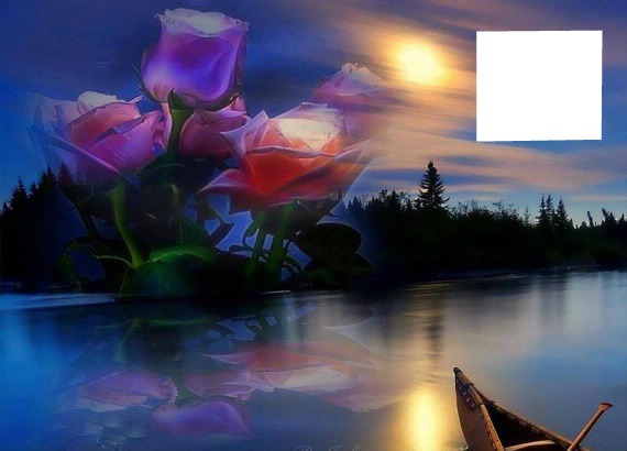 nuit de rose Montaje fotografico