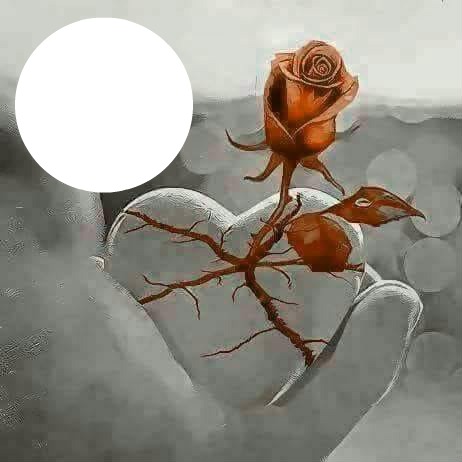 bronze rose Valokuvamontaasi