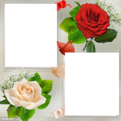 laly e cadres 2 roses Photo frame effect