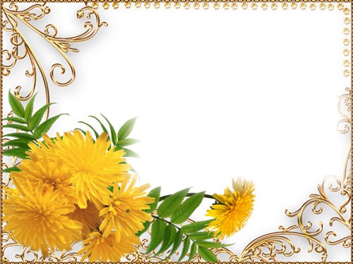 sárga virág Photo frame effect