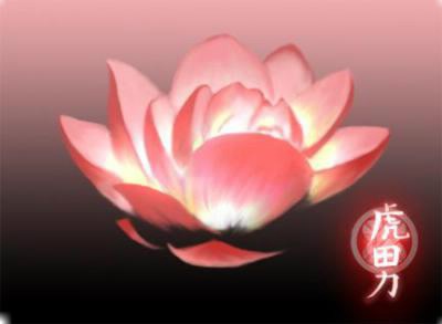 lotus rose Photomontage