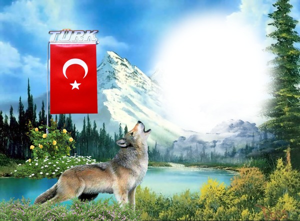 bozkurt türk bayrağı. Fotomontage