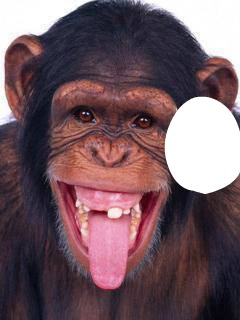 monkey kiss Fotomontasje