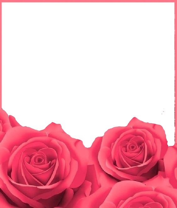 marco y rosas rosadas. Fotomontaggio