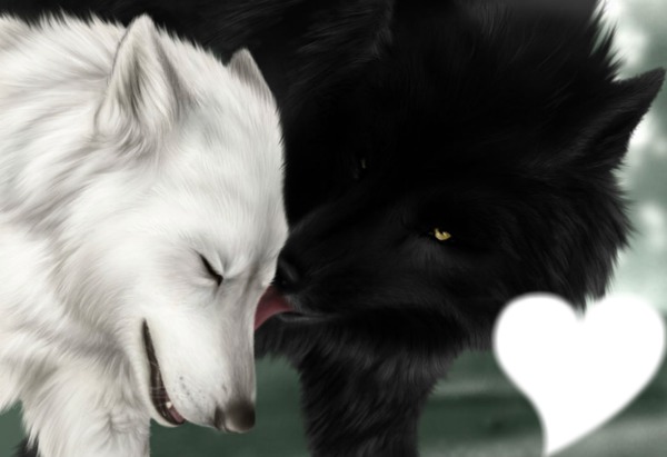 l'amour d'un loup Fotomontažas