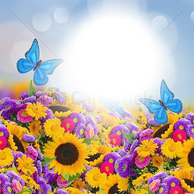 Flores e borboletas Fotomontasje