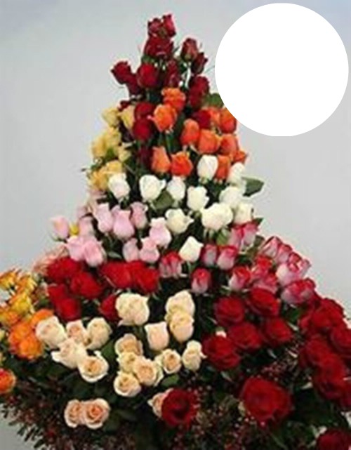rosas jp Fotomontagem