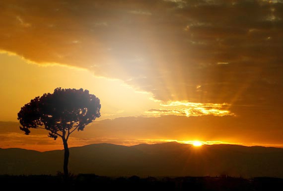 atardeser Montaje fotografico