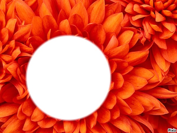 fleur orange d'amour フォトモンタージュ