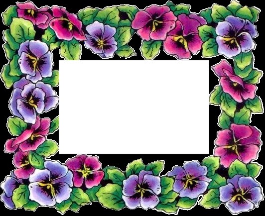 cadre fleuri Fotomontaggio