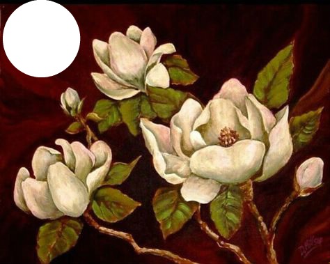 magnolias Fotomontáž