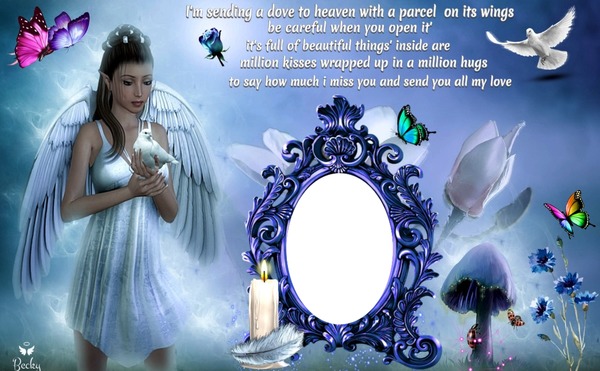 a dove to heaven Photo frame effect