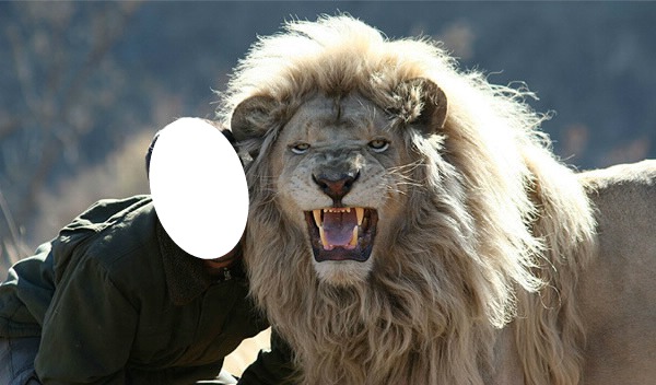 lion Fotomontagem