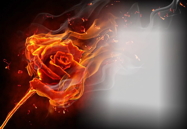 Rose meiner Flamme Fotomontage