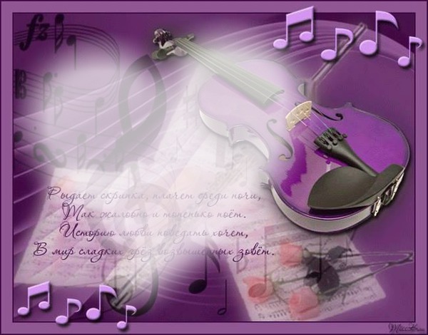 violon violet Montage photo