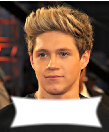 1D Niall Montage photo