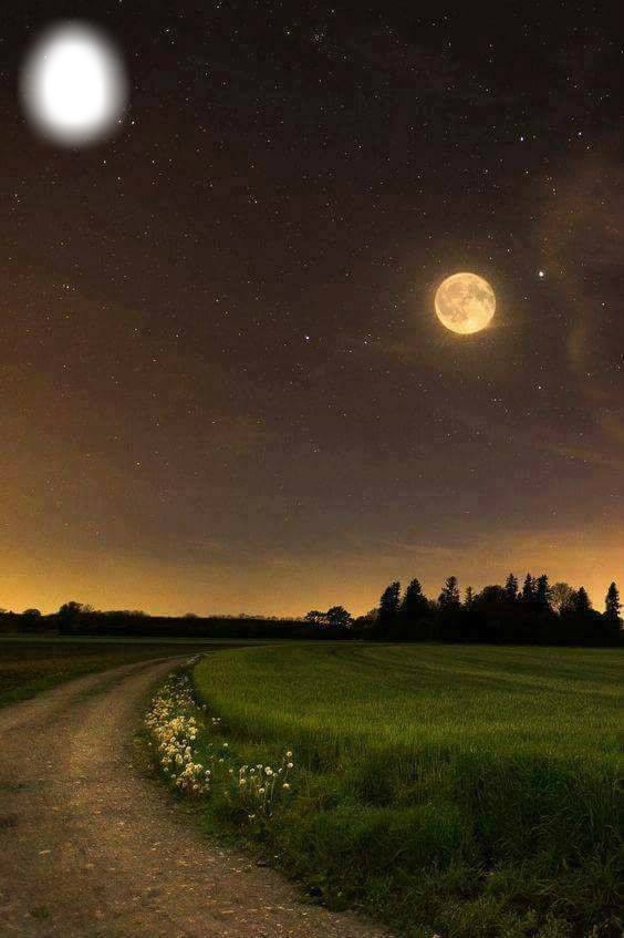 Лунная ночь Φωτομοντάζ