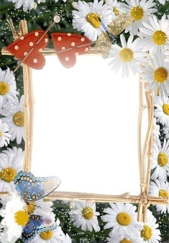 daisy frame Fotomontaža