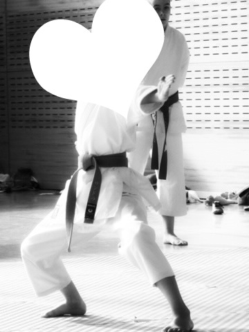 el Karate Montaje fotografico
