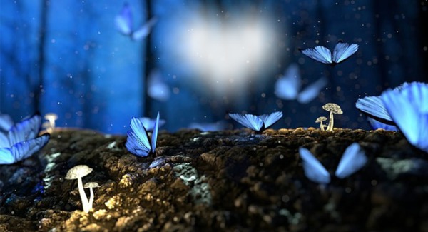 borboletas azuis Fotomontagem