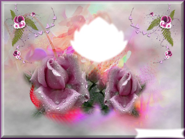 Roses Montage photo