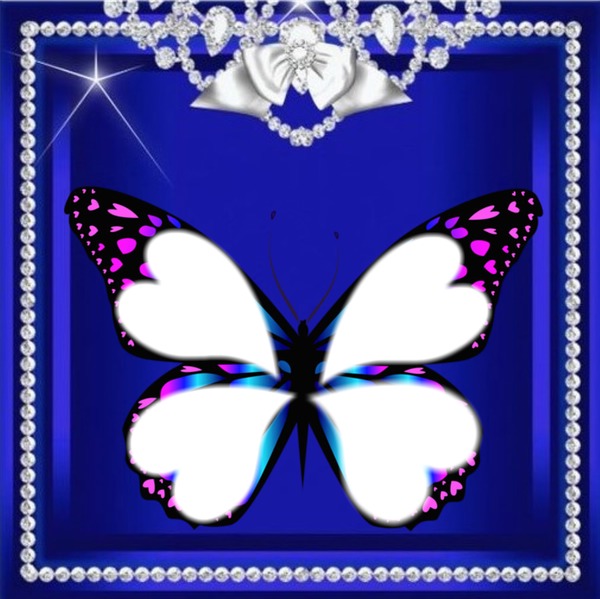 Butterfly Photo frame effect