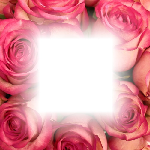 pink roses frame Valokuvamontaasi