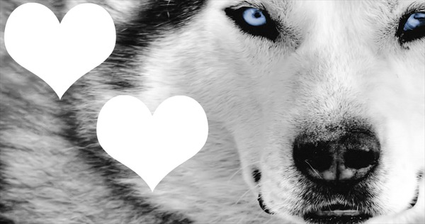 werewolf love Photo frame effect