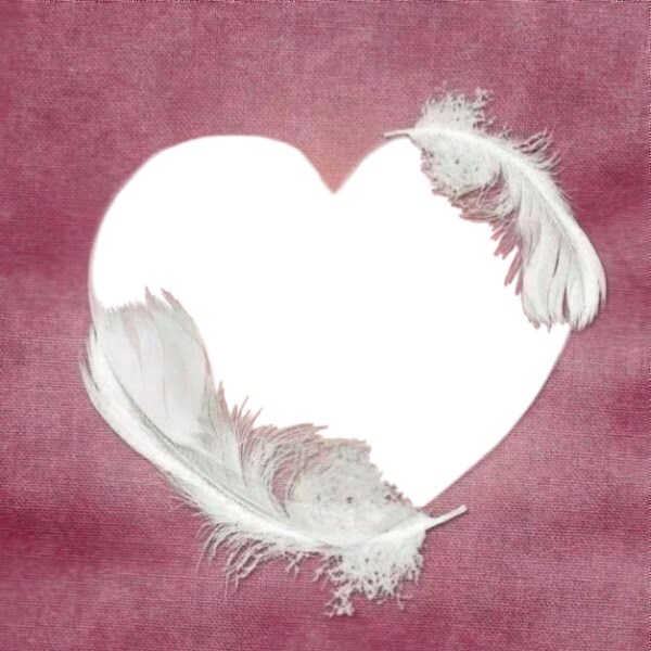 Corazón en plumas, 1 foto Fotomontage