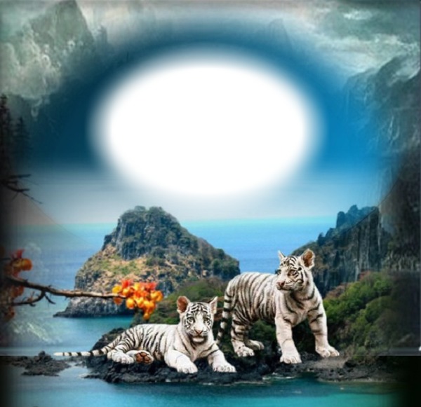 Paysage (tigres) Fotomontage