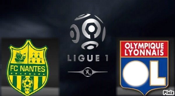 FC Nantes vs OL 09/02/2014 Photo frame effect