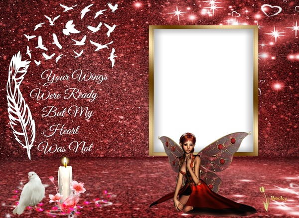 your wings were ready Montage photo