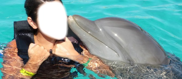 delfines Fotomontage