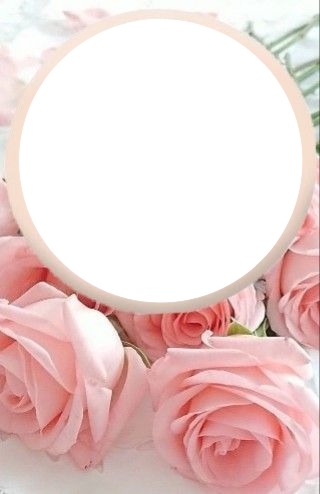 marco circular y rosas rosadas. Fotomontage