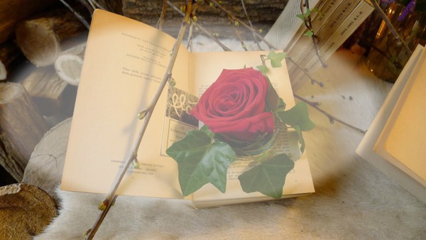 lutina rose Fotomontaža