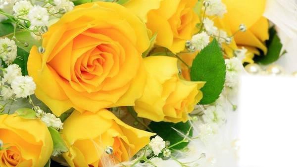 Roses jaune Fotomontasje