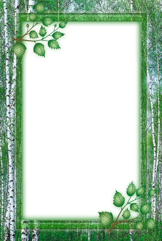 Cadre-arbres-bouleaux-nature Fotomontage