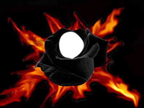 rose noir flamme Fotomontaggio