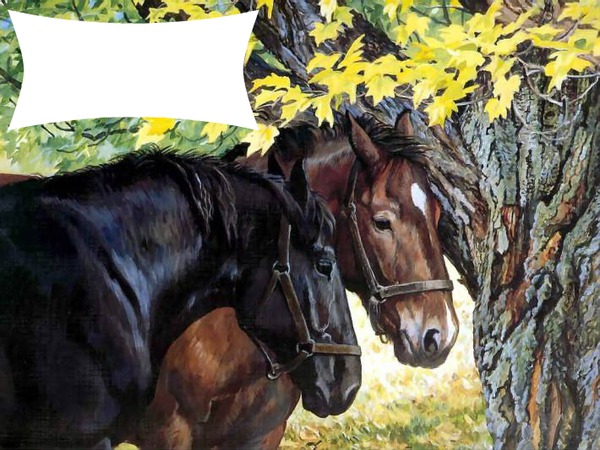 2 chevaux 1 photo Photomontage