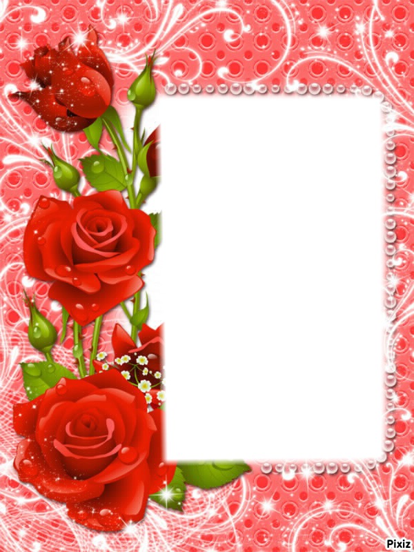 Roses rouges Montage photo
