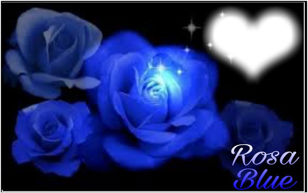 Rosa Blue Fotomontāža