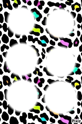 leopard <3 Photomontage