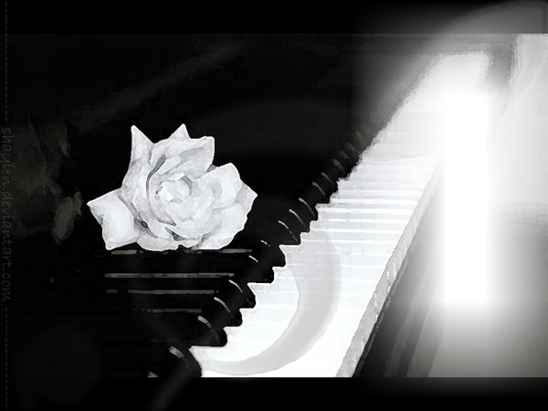 Piano rose Photo frame effect