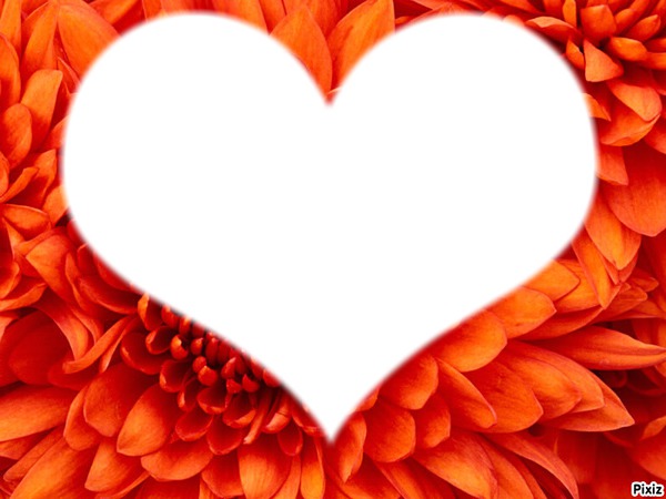 coeur sur fleur orange Фотомонтаж