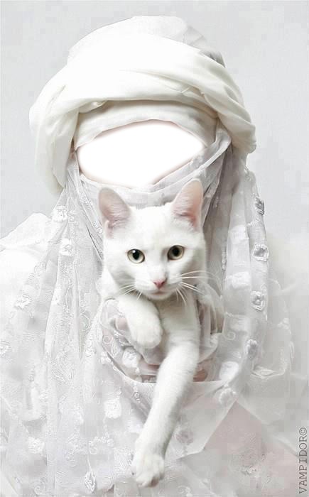 gato branco Fotomontaža